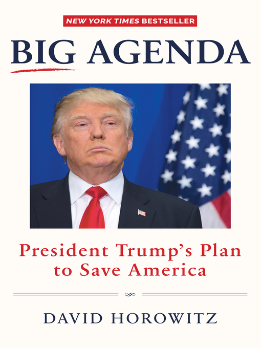 Title details for Big Agenda by David Horowitz - Wait list
